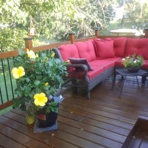 Meet your Posher, Terri